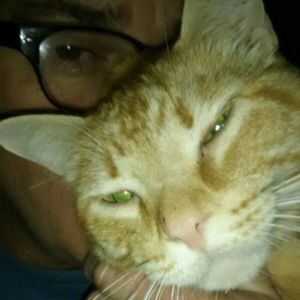 Meet your Posher, Jaybo